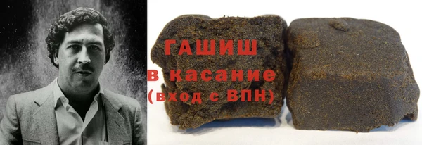гидра Инта