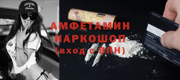 гидра Инта