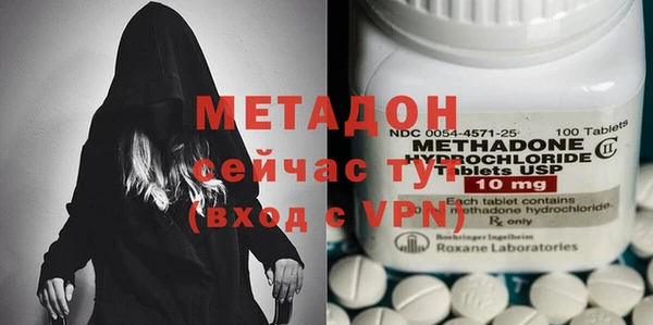 гидра Инта