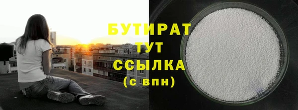 гидра Инта