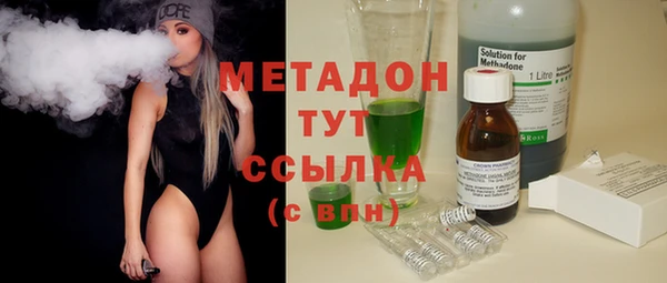 гидра Инта