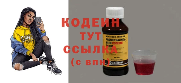 гидра Инта