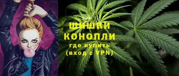 гидра Инта