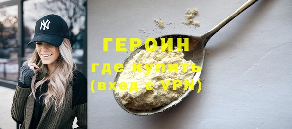 гидра Инта