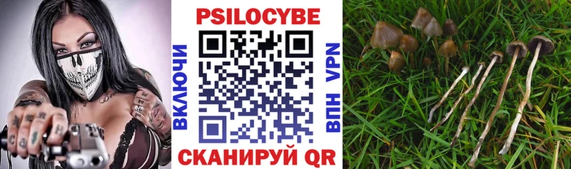 Псилоцибиновые грибы прущие грибы  MEGA зеркало  Суоярви 